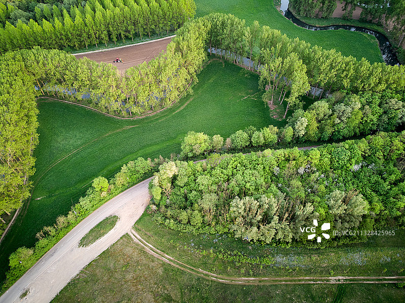 比利时首都布鲁塞尔郊外的森林和原野图片素材