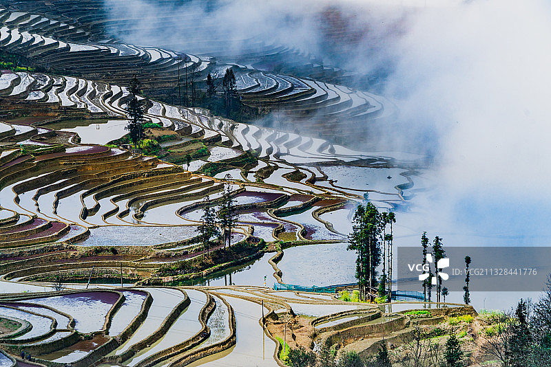 中国云南省红河州元阳县元阳哈尼梯田箐口梯田图片素材