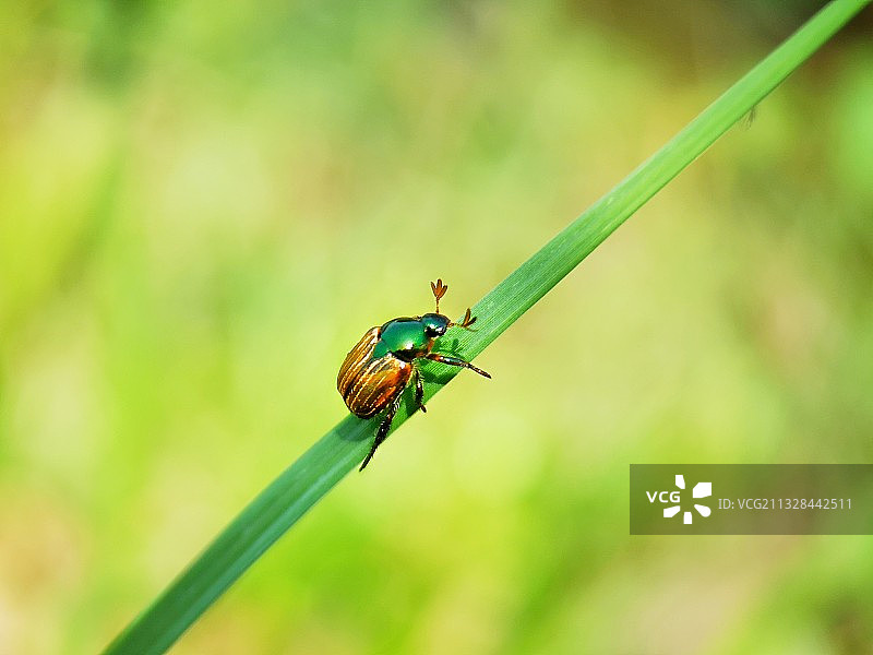 攀登者图片素材