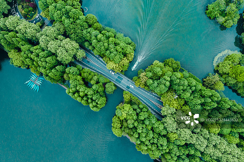 西湖杨公堤图片素材