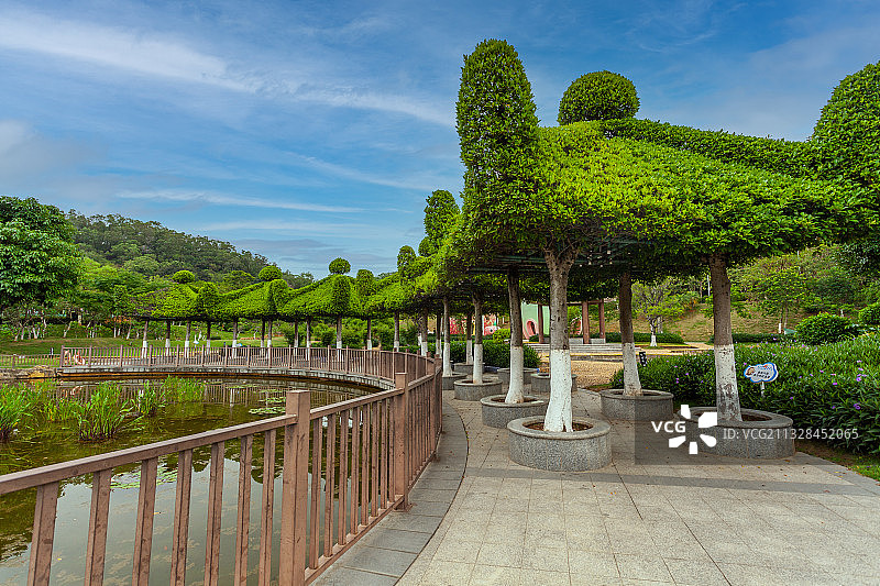 番禺儿童公园绿色长廊图片素材