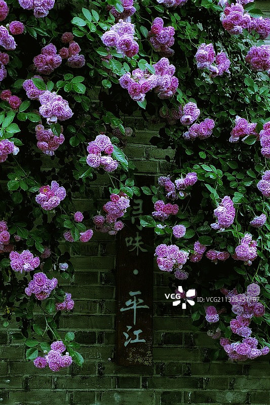老街花墙图片素材