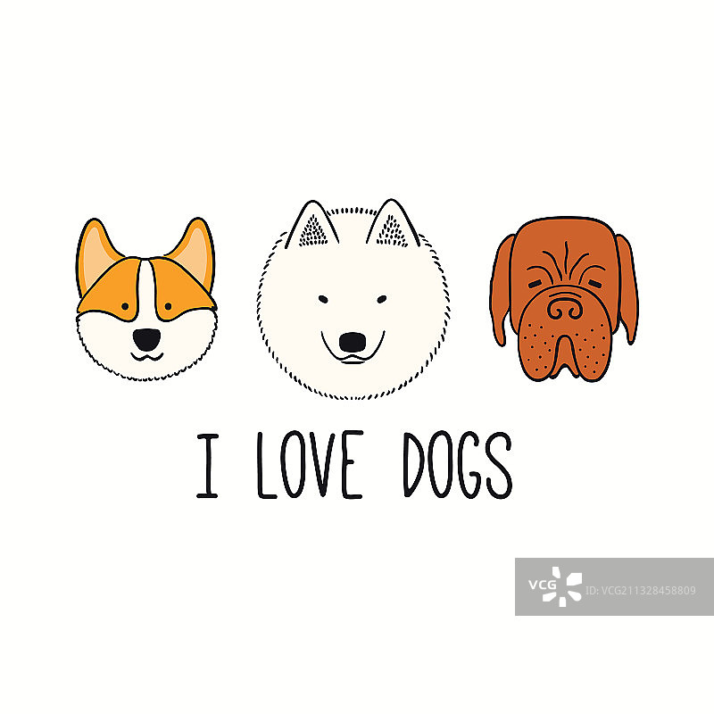 可爱有趣柯基犬小狗脸图片素材