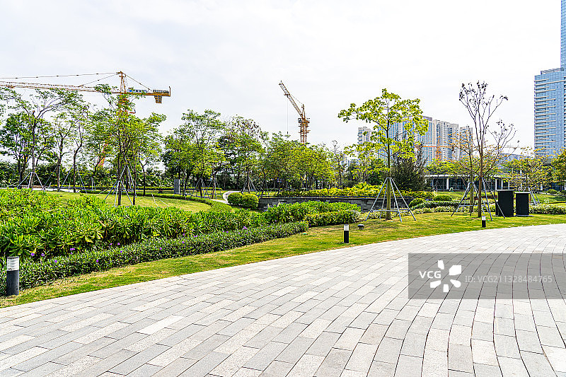 中国深圳南山区人才公园城市景观图片素材