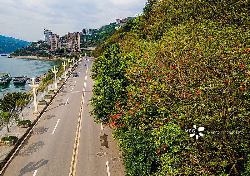 巫山滨江路的花开了图片素材