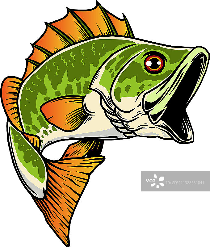 鲈鱼大鲈鱼钓鱼设计元素图片素材