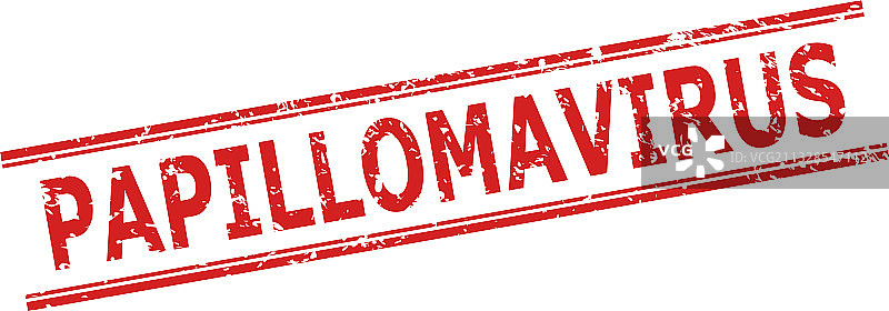 乳头瘤病毒橡胶印章图片素材