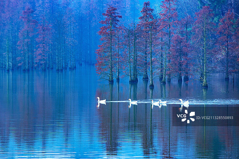 2016-12-03，南京六合区止马岭，畅游图片素材
