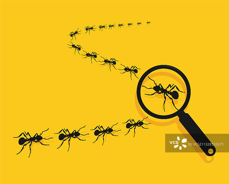 放大镜下的行军蚁，黄色背景图片素材