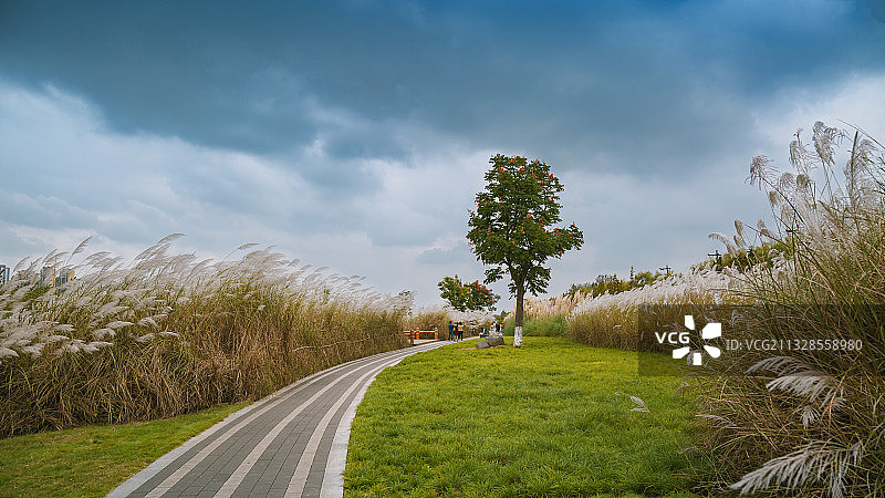 汉中天汉湿地公园图片素材