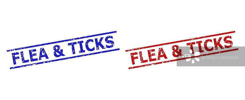 带有划痕纹理的跳蚤水印图片素材