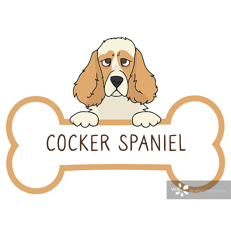 可爱的卡通可卡犬与项圈狗牌图片素材