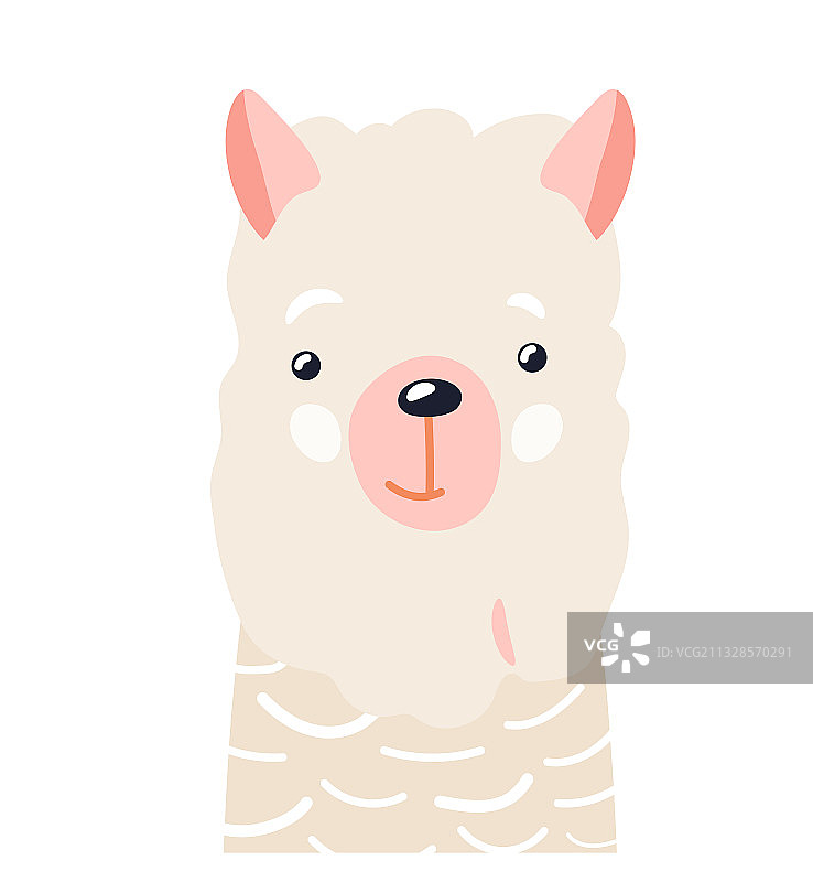可爱的小羊驼图片素材
