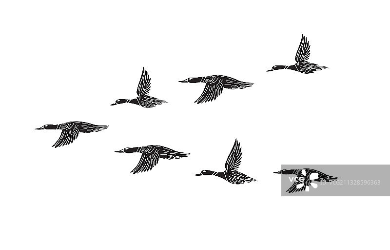 手绘黑色鸭群飞图片素材