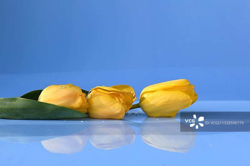 法国巴黎：蓝色背景下桌子上的黄色水果特写图片素材