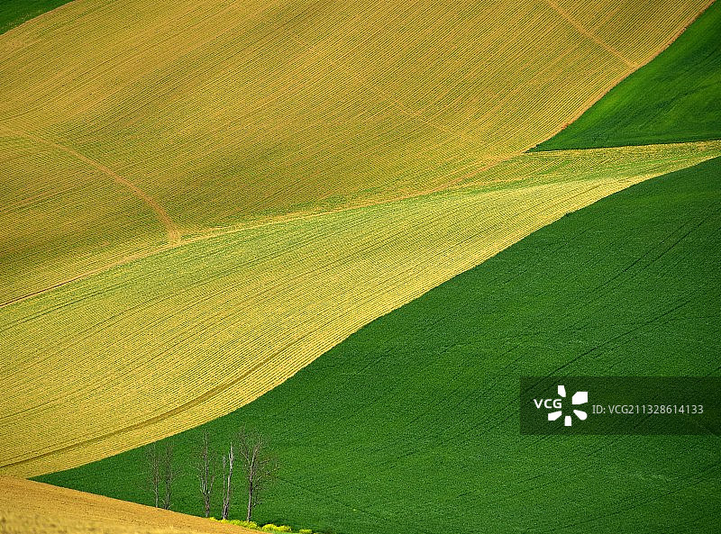 农田的全画幅照片图片素材