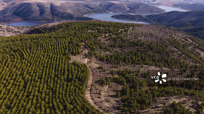 土耳其巴巴罗斯的松树林景观高角度视图图片素材