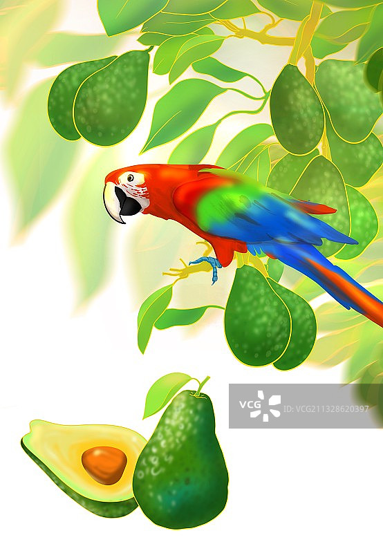 手绘美食插画营养丰富牛油果广告图片素材