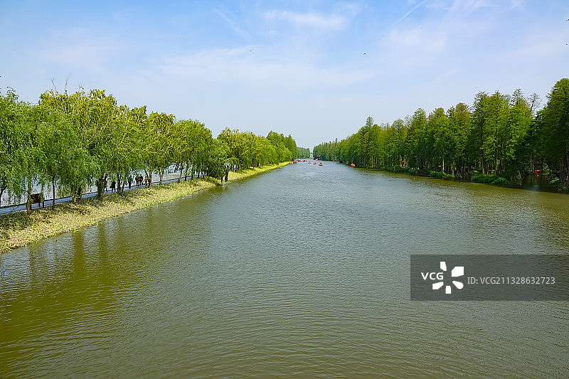 江苏兴化：李中水上森林公园图片素材
