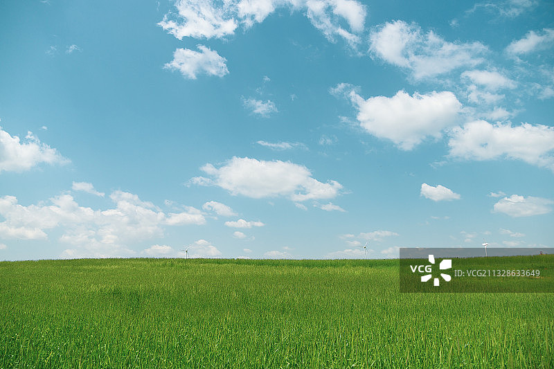 梦幻的原野图片素材