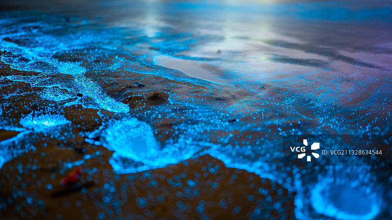 蓝眼泪图片素材