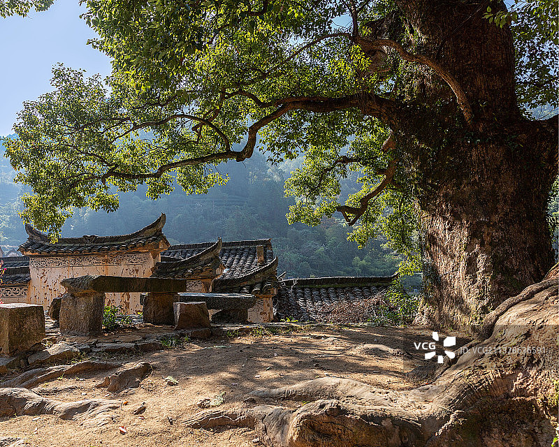 老村口图片素材