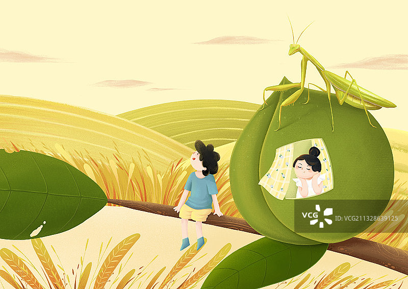 芒种图片素材