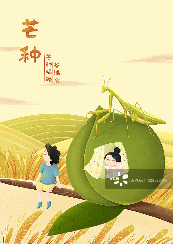 芒种图片素材