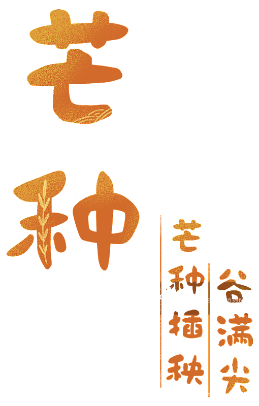 芒种 标题图片素材