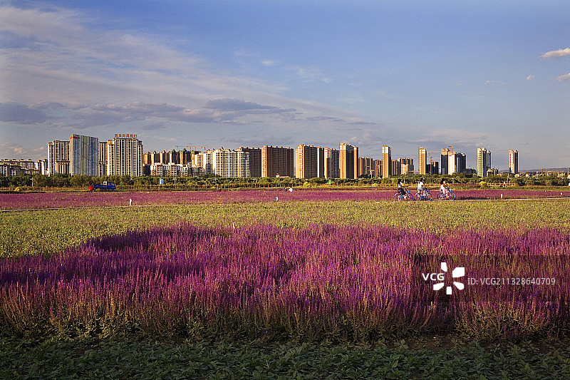 包头城市景观图片素材