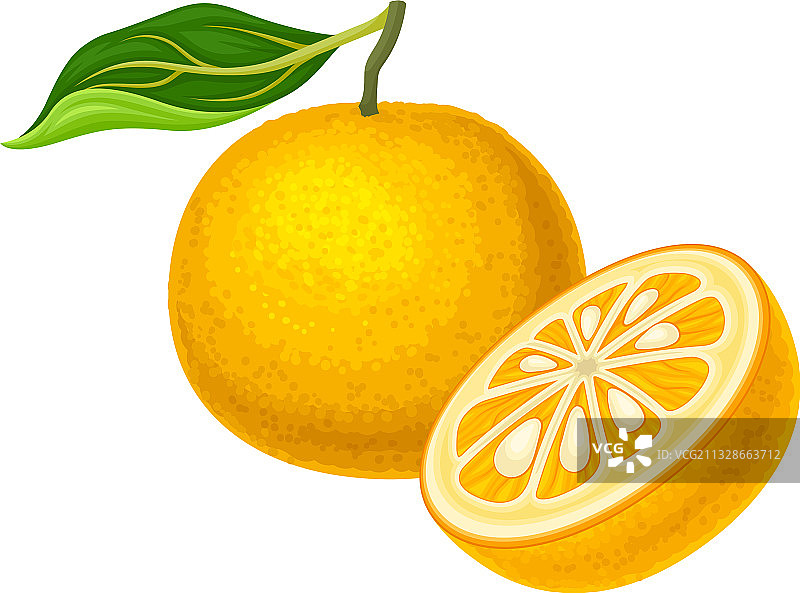 果肉饱满的柑橘水果切半图片素材