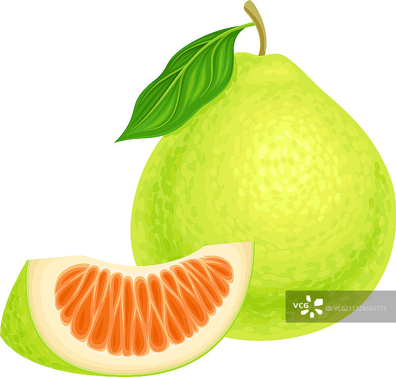 完整柚子图片素材