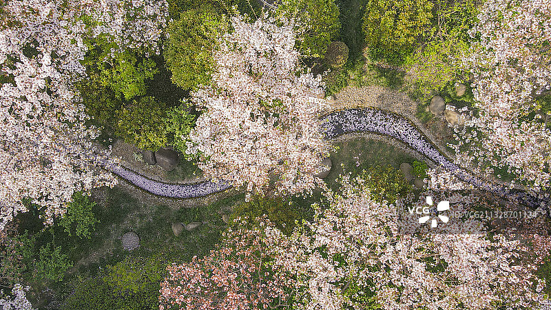 东昌路地铁站樱花公园航拍图片素材