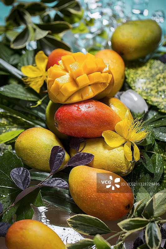新鲜的水果芒果图片素材