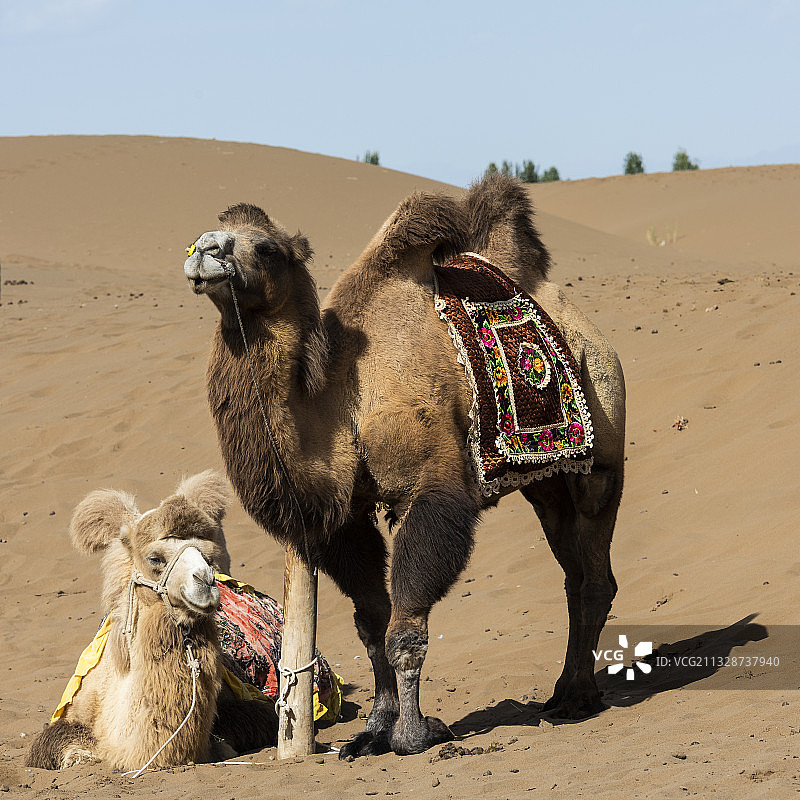 库木塔格沙漠图片素材