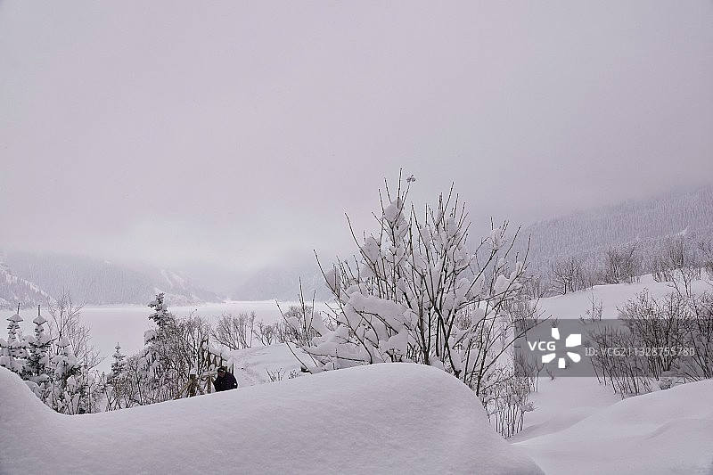 雪景/摄于天山天池图片素材