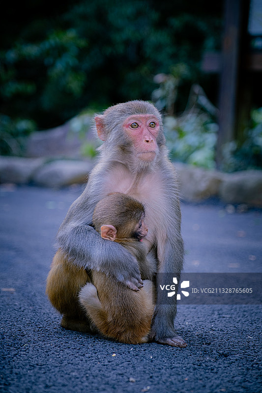 贺州姑婆山随拍图片素材
