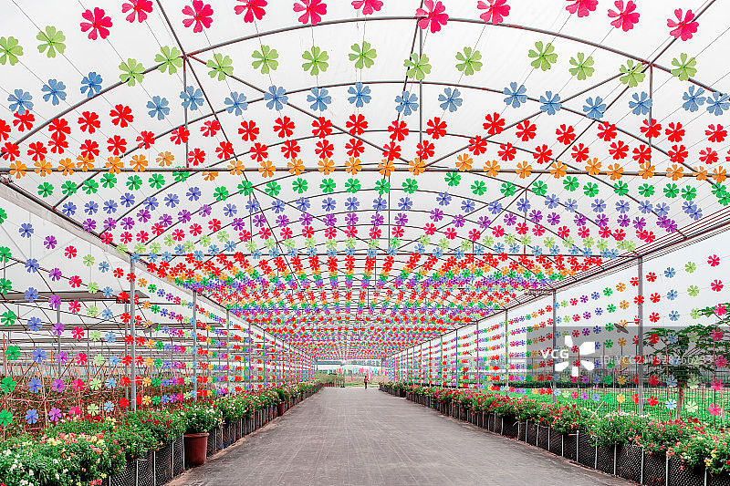 贤鲁岛共享农场 佛山图片素材