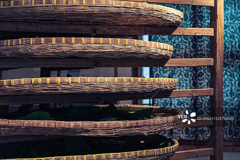 桑蚕养殖图片素材