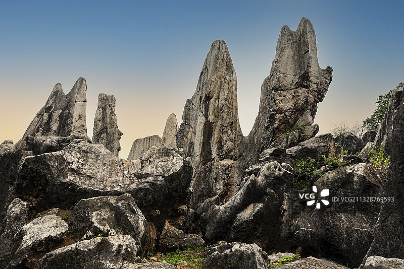 广西贺州玉石林图片素材