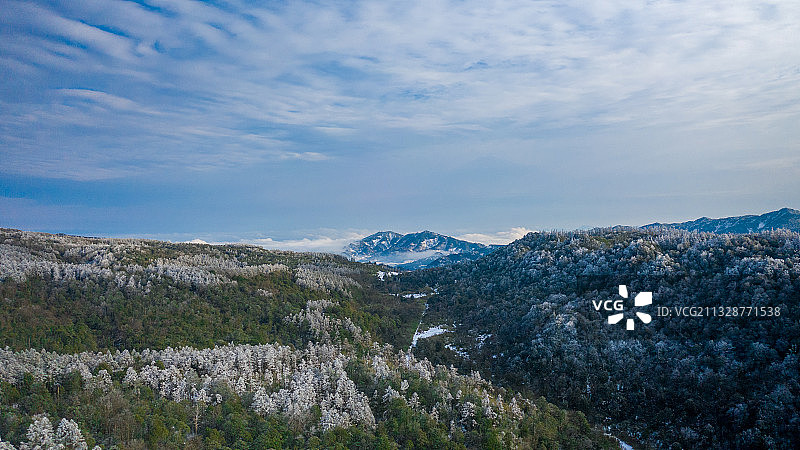 天麻之乡 小草坝图片素材