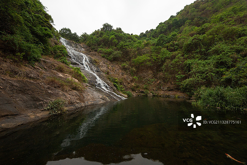 马峦山郊野公园的瀑布清潭，锦鲤旁若无人地在畅游图片素材