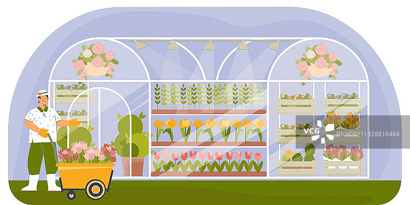 植物苗圃扁平构图图片素材