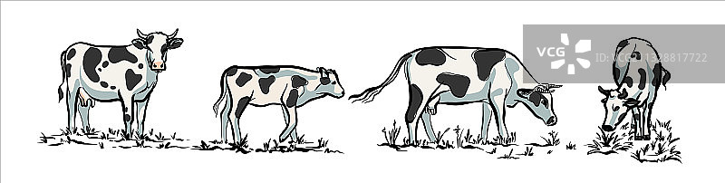 一组黑白奶牛图案图片素材