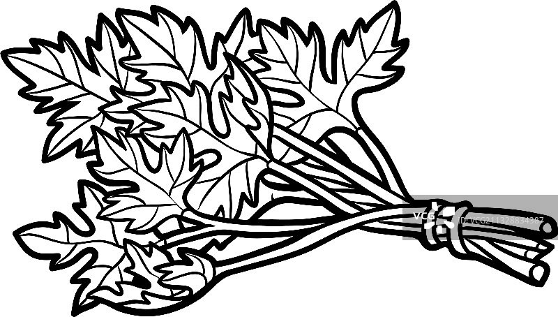 彩色书欧芹图片素材