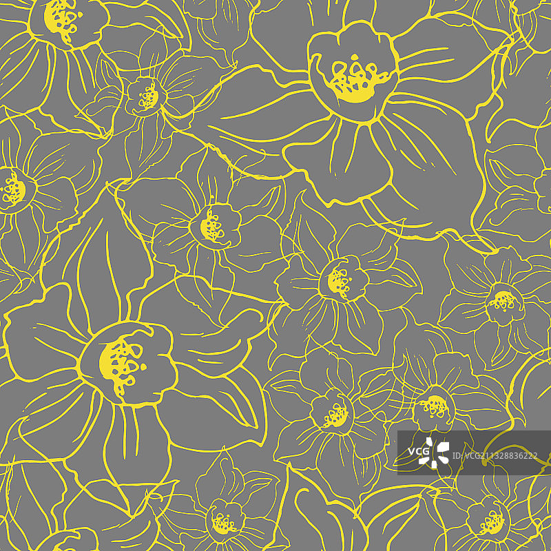 手绘黄色水仙花轮廓图片素材