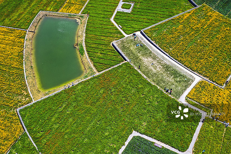 江苏三台山森林公园最美田园风光图片素材