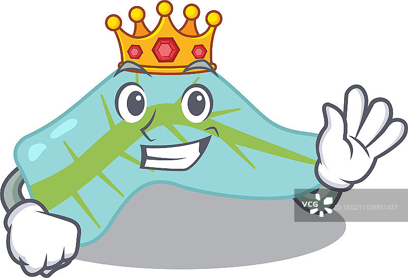 睿智的胰腺国王吉祥物设计图片素材