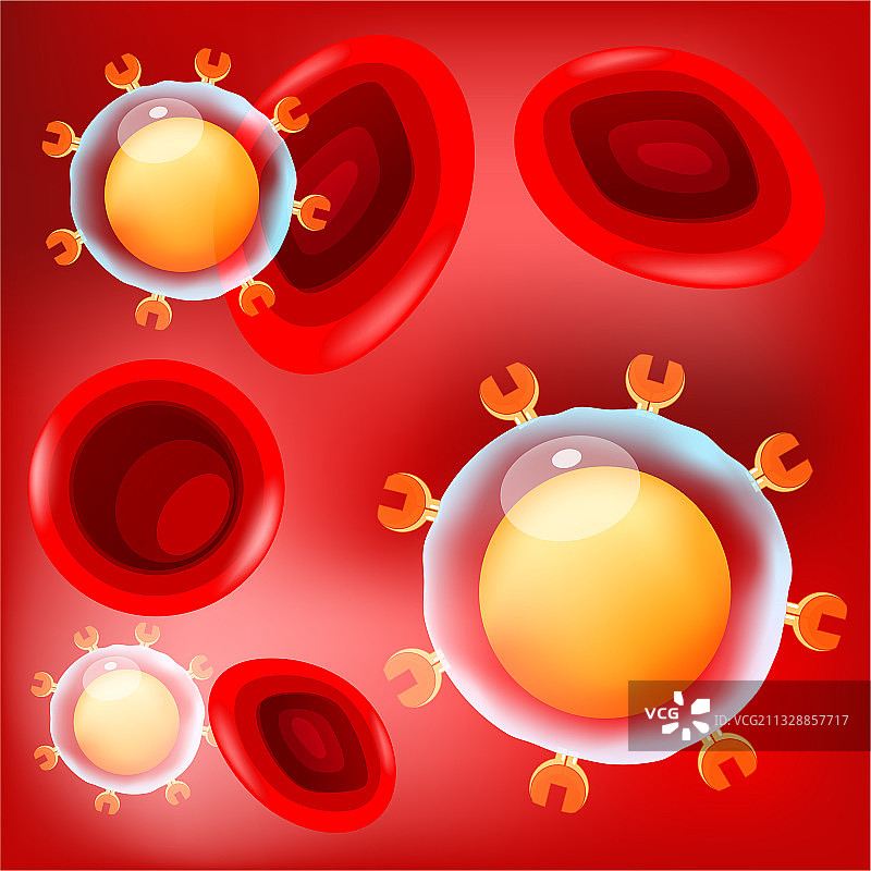 红色背景上的T细胞和红细胞图片素材