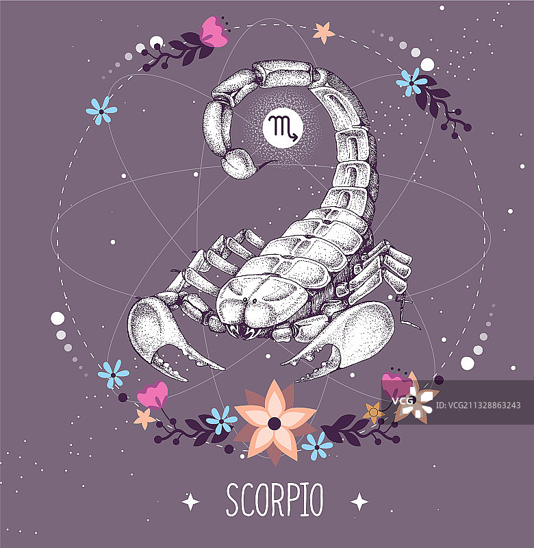 带有天蝎座占星符号的巫术卡片图片素材